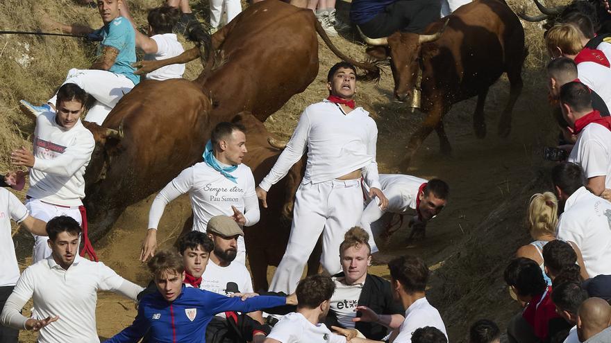 [FOTOS] Séptimo encierro del Pilón de Falces 2026: muchas caídas pero solo una atención por luxación de hombro