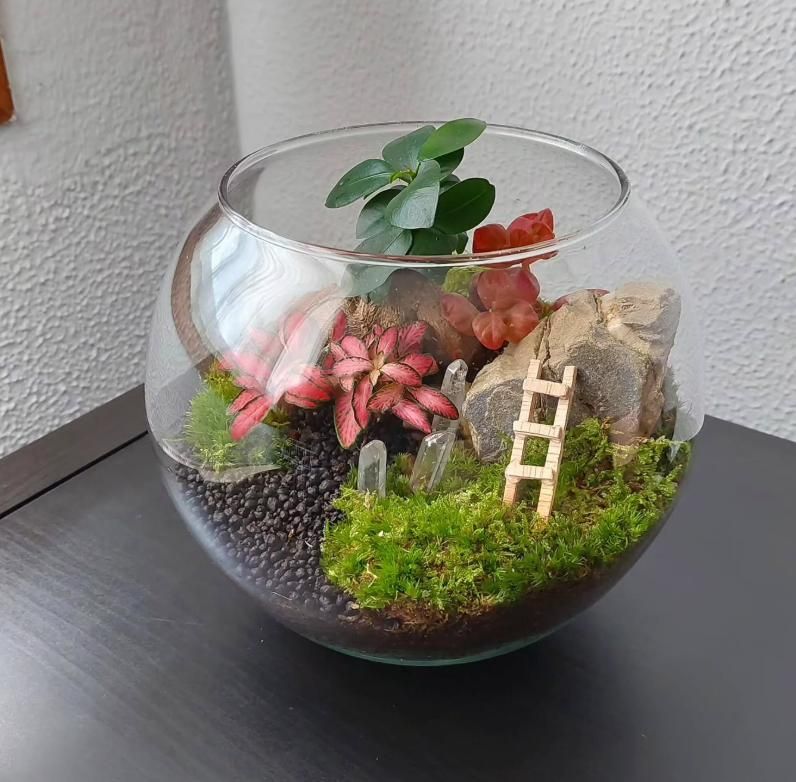 En imágenes: Así son los pequeños universos botánicos que triunfan en Bizkaia