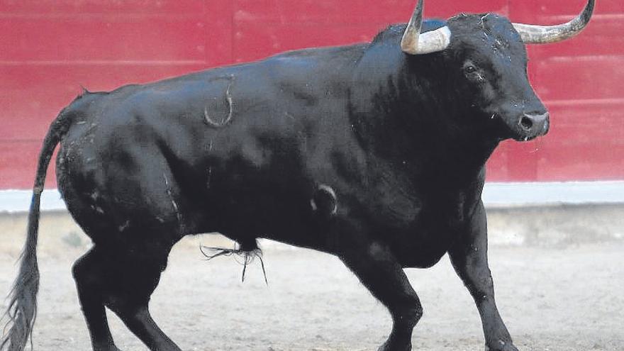 Feria taurina de fiestas de Estella: popurrí de hierros en el inicio