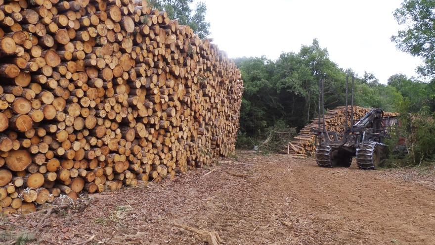 Navarra publica una guía para reducir los accidentes laborales en el sector forestal