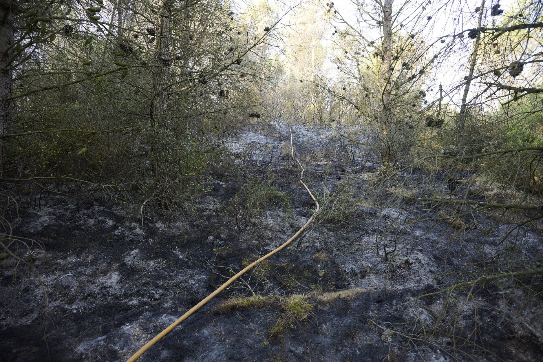 Imágenes de la zona afectada por el incendio en Enériz