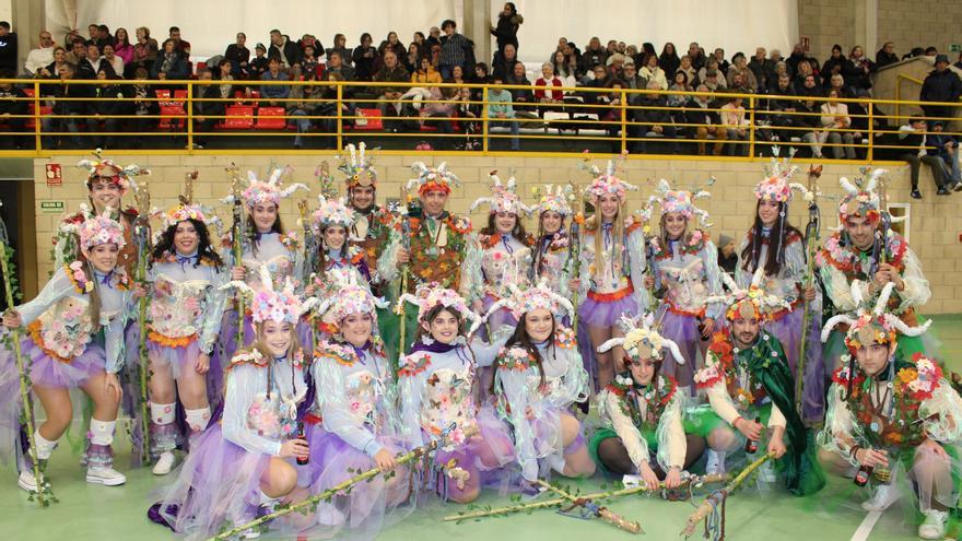 Fotos del carnaval de Castejón 2026