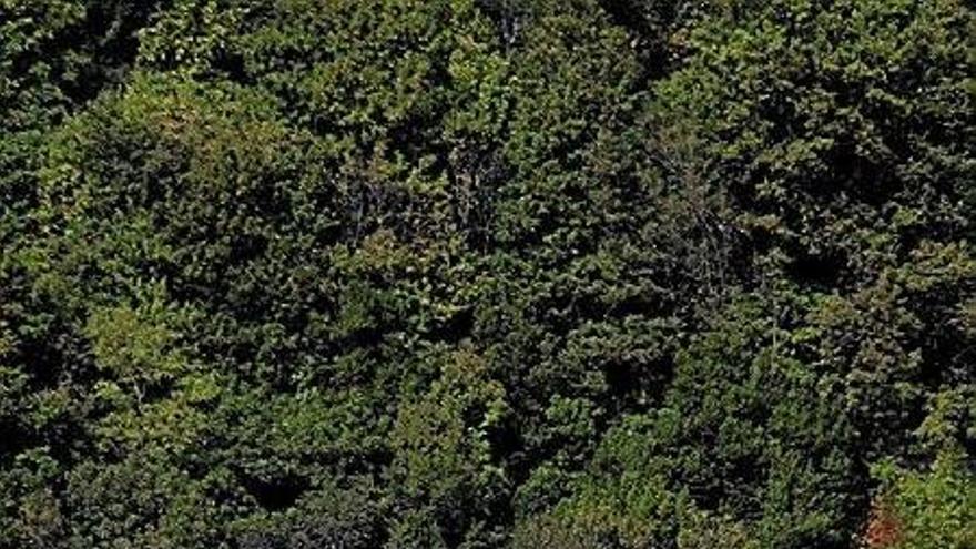Instalaciones de Urgull de la ikastola pública Orixe.