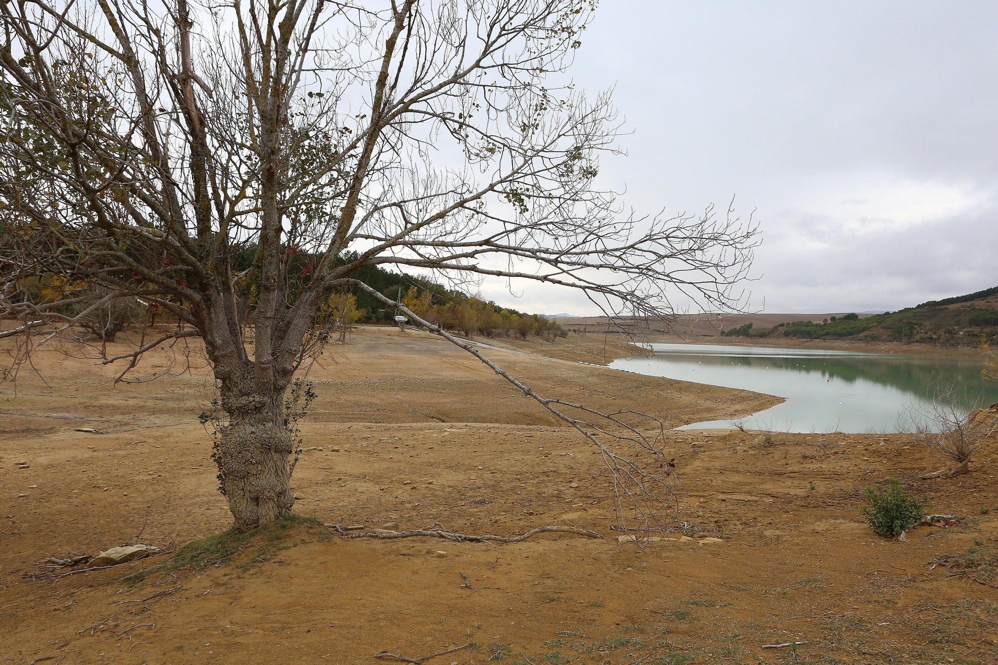 Estado del embalses de Alloz