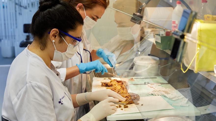 Euskadi participa en cerca de 250 proyectos de investigación en enfermedades raras