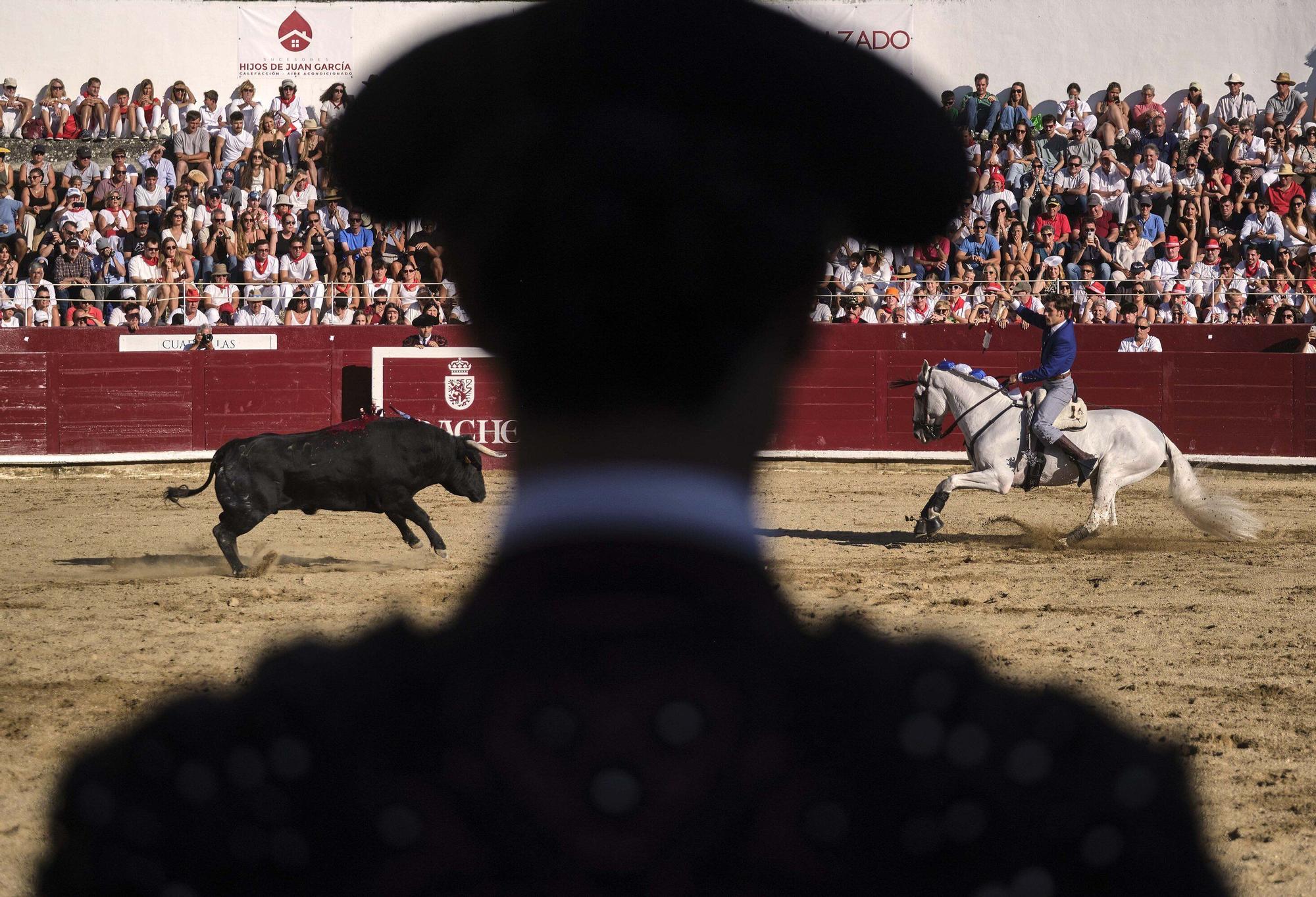 Fotos de la 'encerrona' de Guillermo Hermoso de Mendoza en la plaza de toros de Estella - Lizarra