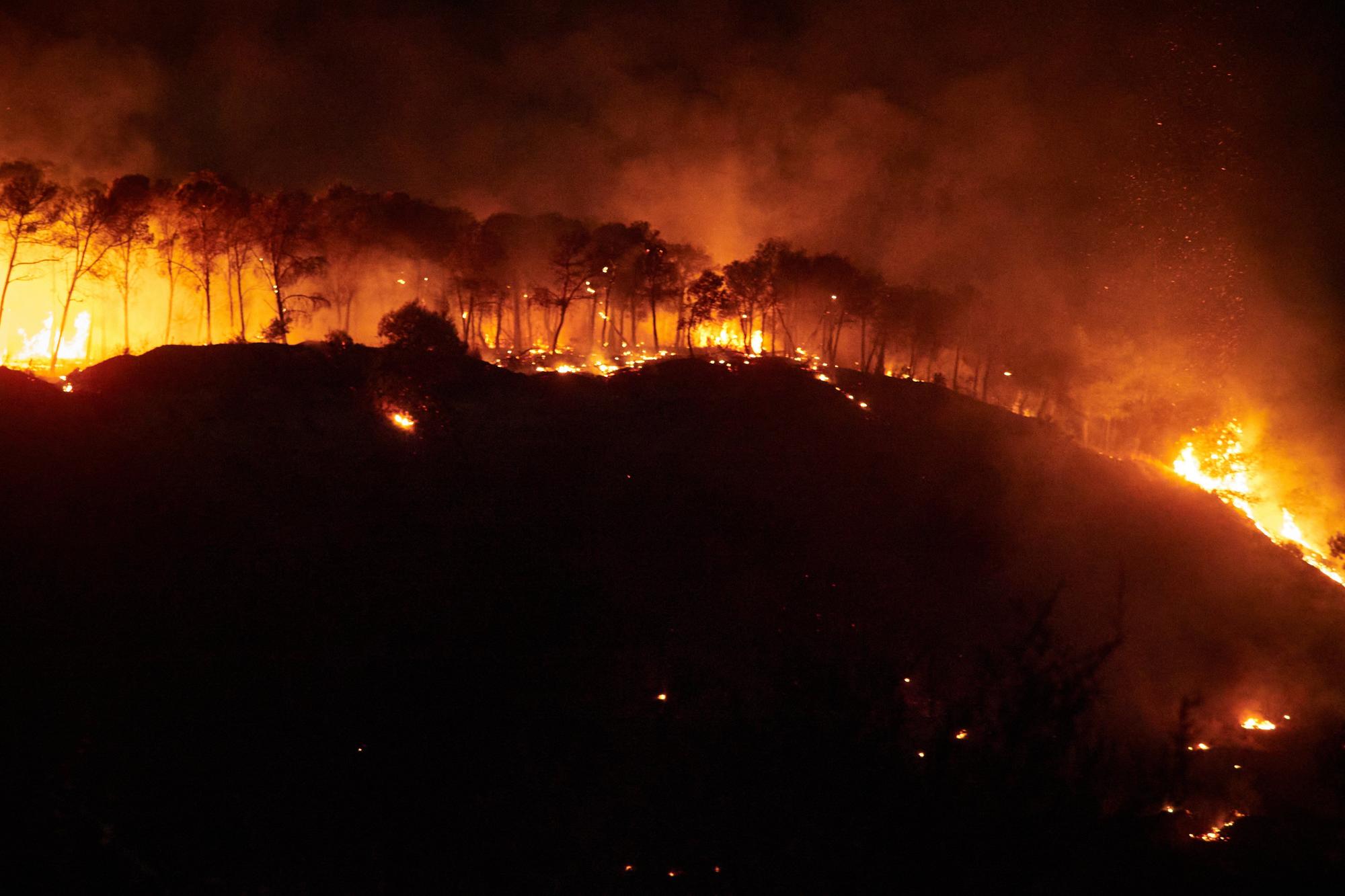 Fotos del incendio forestal cerca de Carcastillo