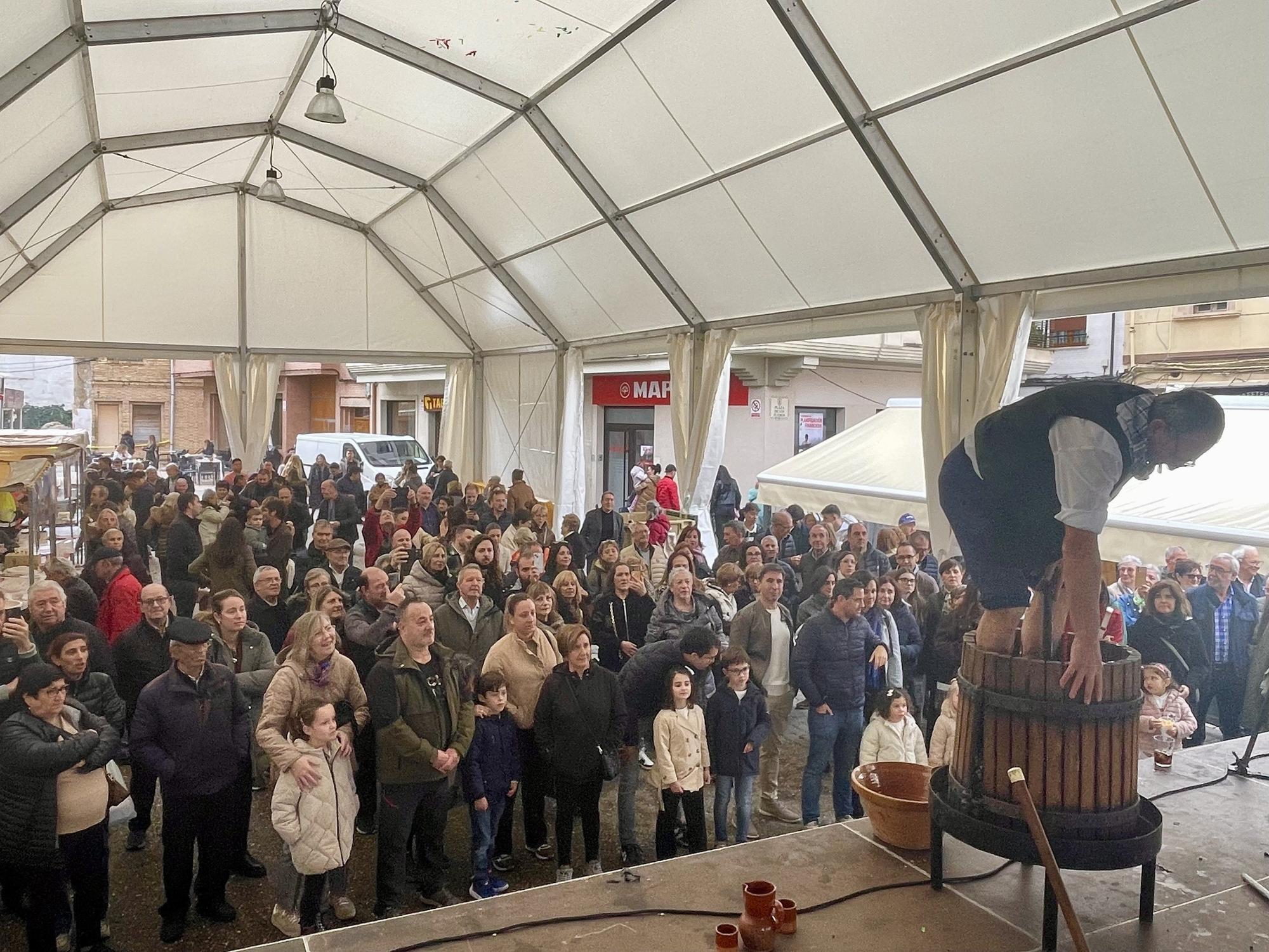 Fotos de las fiestas de San Gregorio 2025 en Azagra