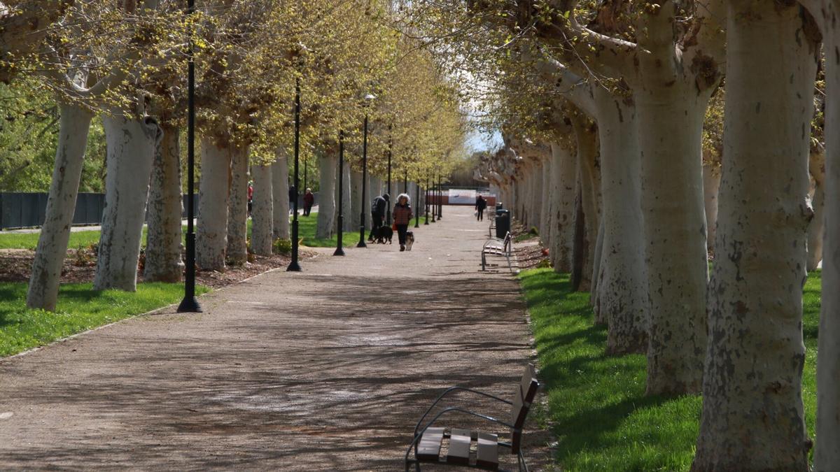 Vista del paseo del Prado, uno de los parque más grandes de Tudela.