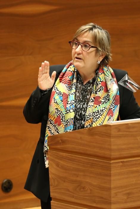 Pleno del Parlamento de Navarra sobre el Covid-19