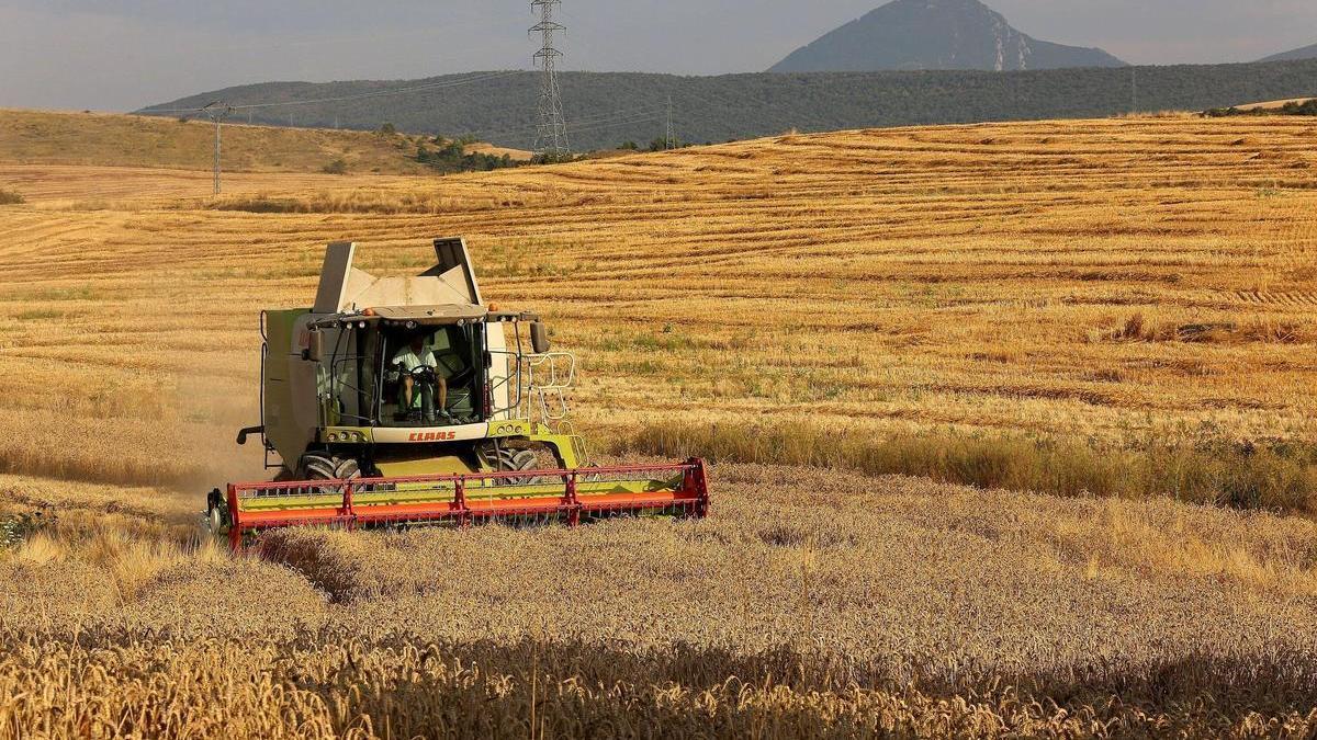 Campos de cereal cosechados en la Cuenca de Pamplona Campos de cereal cosechados en la Cuenca de Pamplona