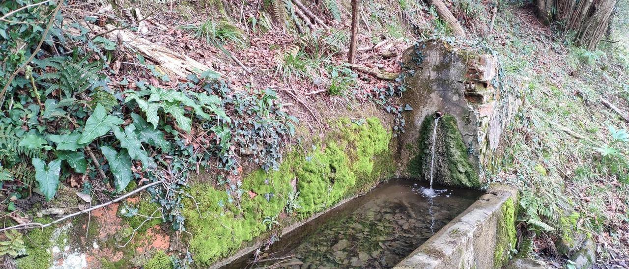 Fuente del camino
