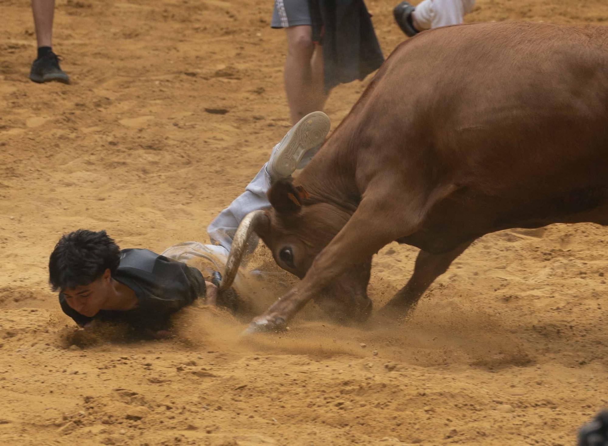 Eb imágenes: Las vaquillas reinan en el Iradier Arena