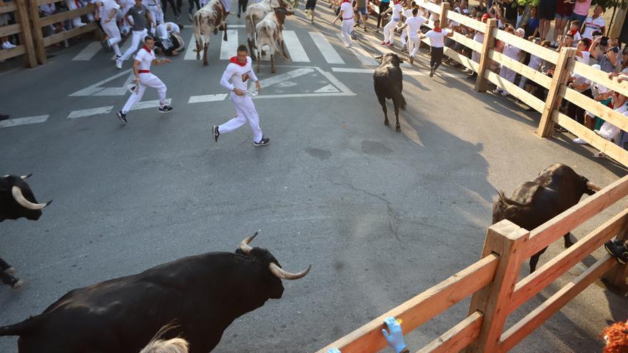 Fotos del primer encierro de fiestas de Tafalla