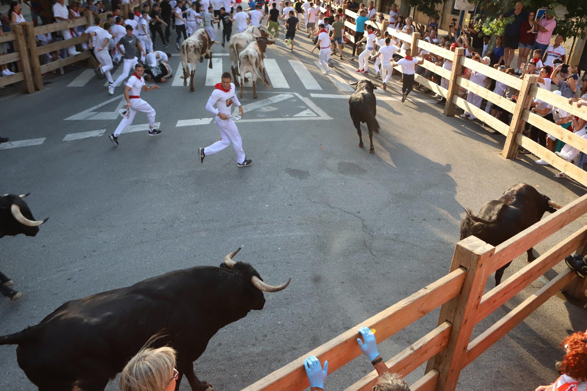 Fotos del primer encierro de fiestas de Tafalla