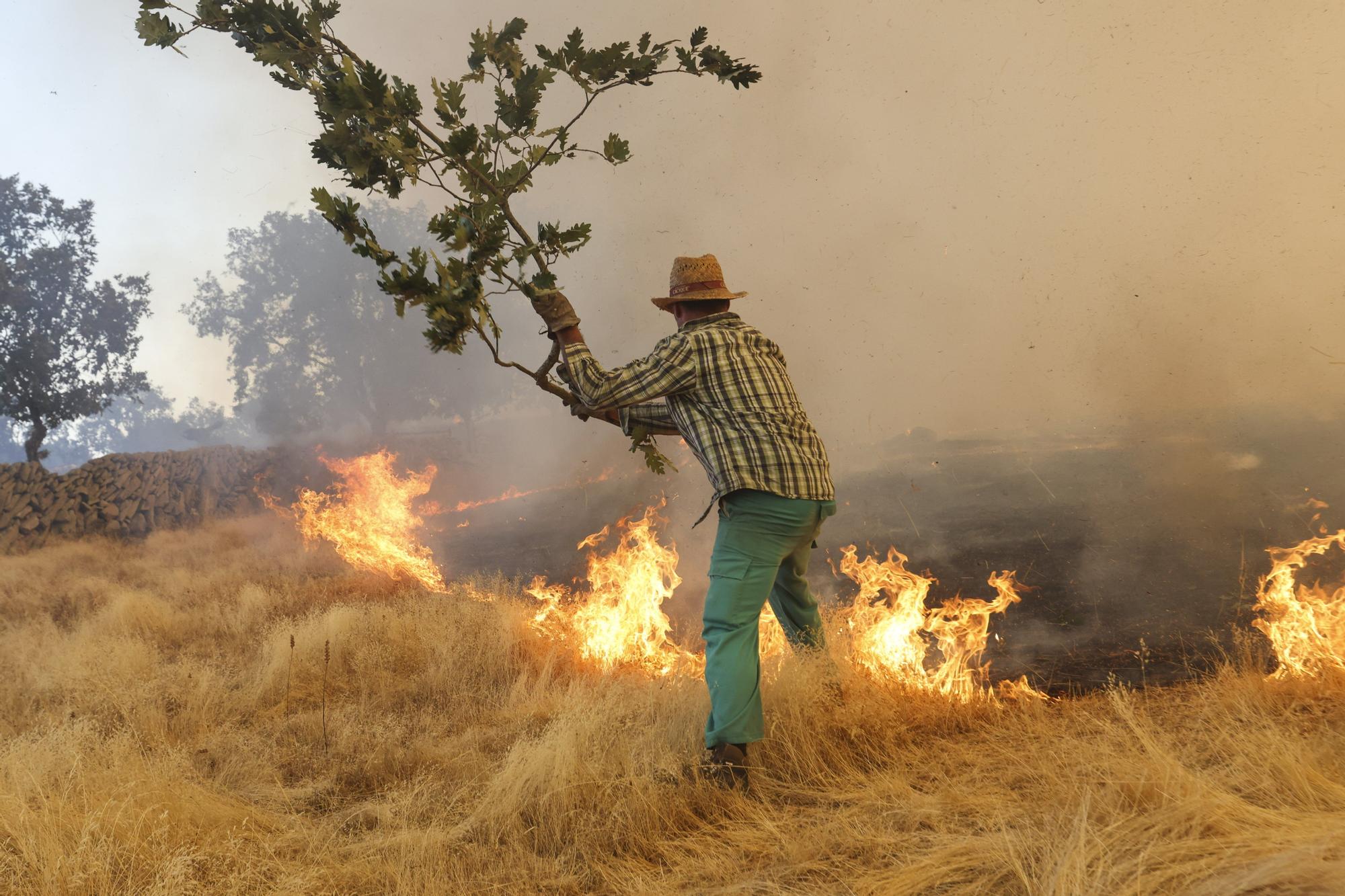 Semana negra de incendios: Cuatro muertos y 120.000 hectáreas quemadas