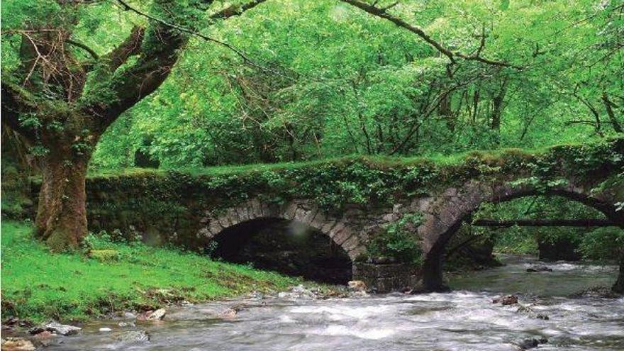 Artikutza se convertirá en  zona de especial protección