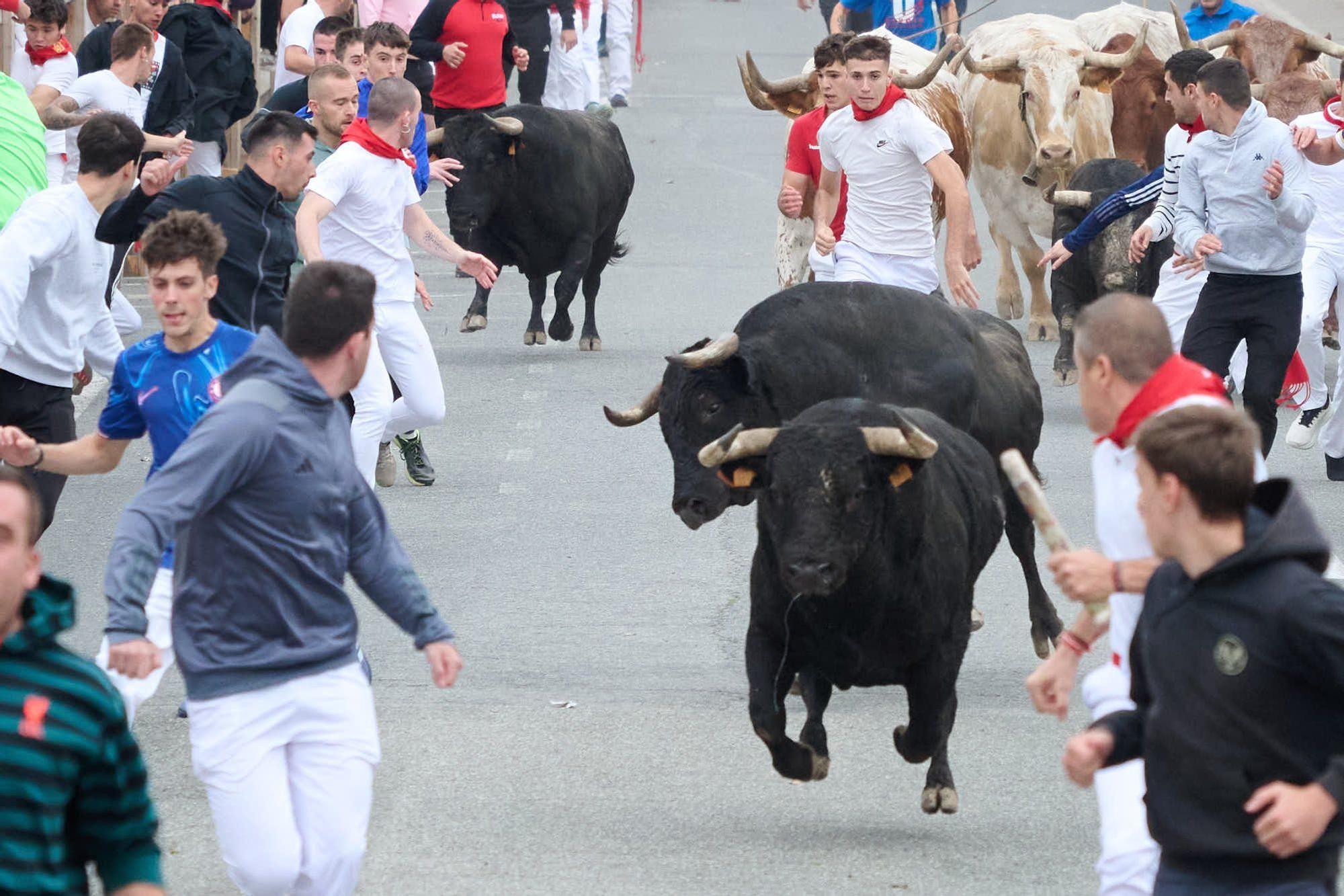 Fotos del segundo encierro de las fiestas de Sangüesa 2025