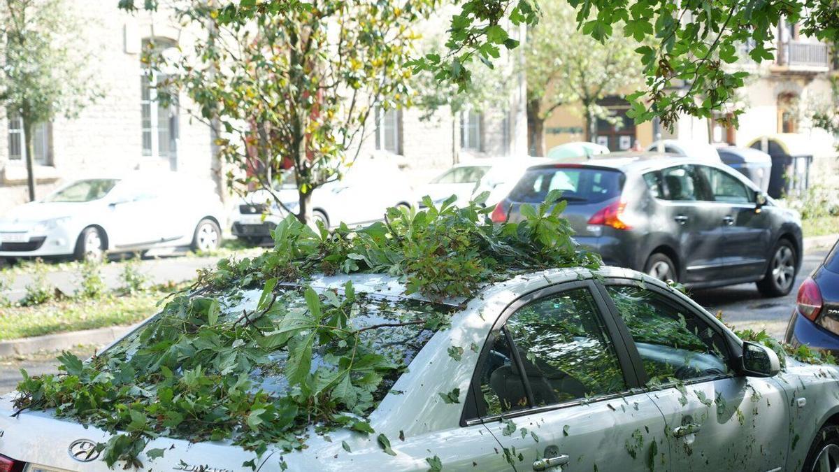 Ramas caídas sobre un vehículo de Vitoria tras la granizada del jueves