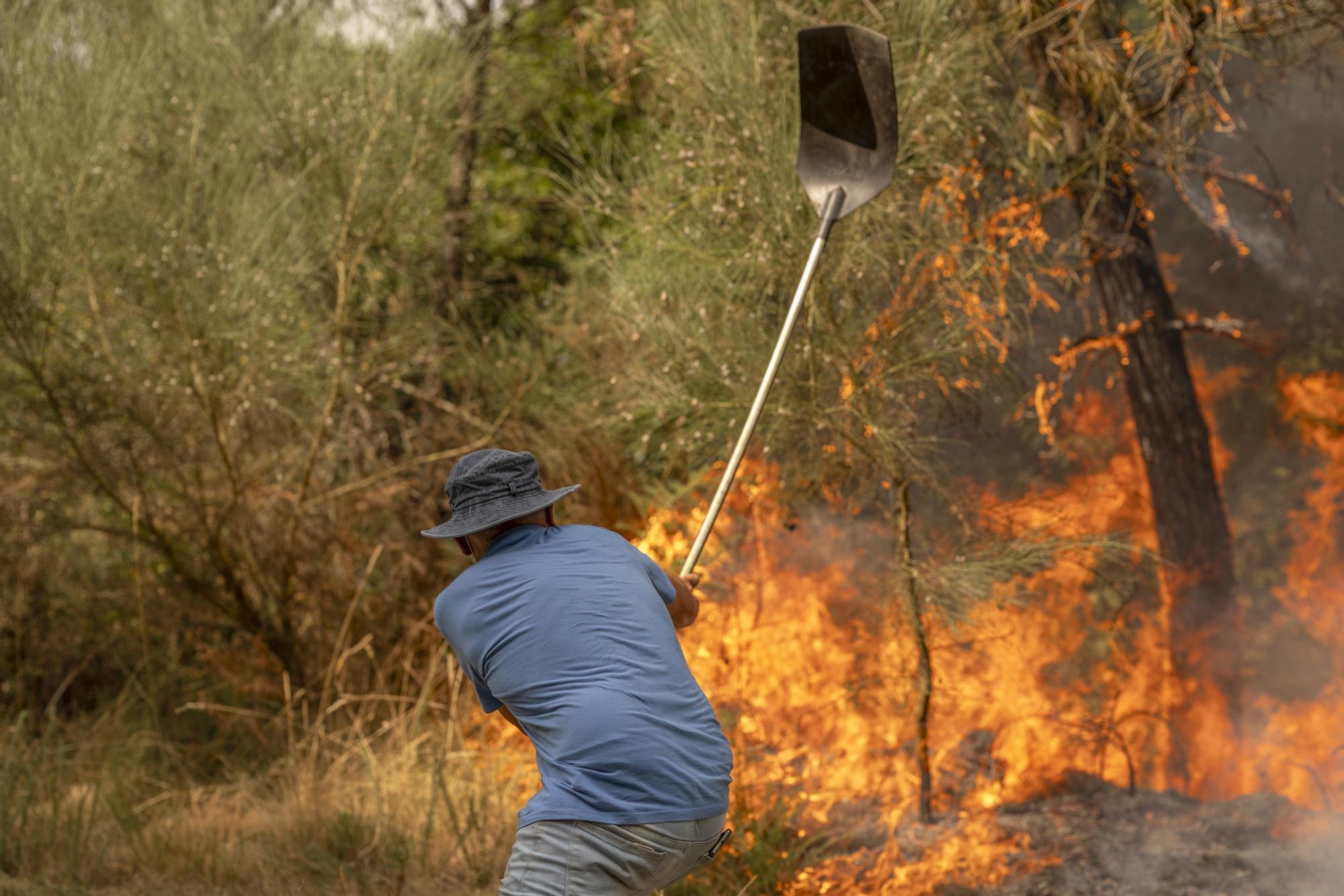 Semana negra de incendios: Cuatro muertos y 120.000 hectáreas quemadas