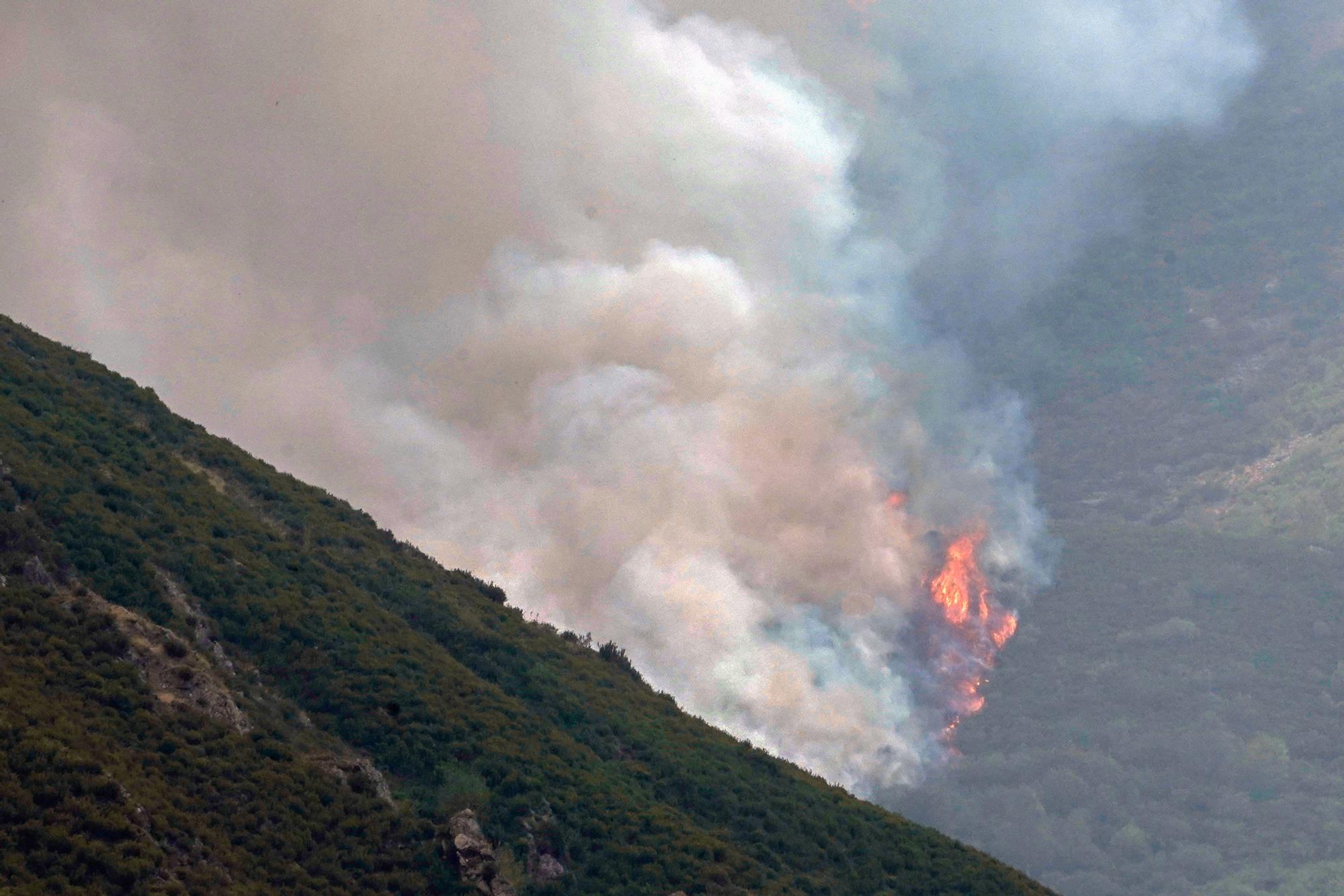 Semana negra de incendios: Cuatro muertos y 120.000 hectáreas quemadas