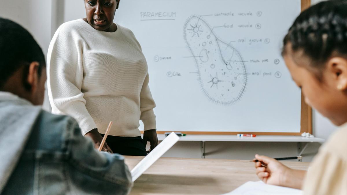 Un profesor con sus alumnos