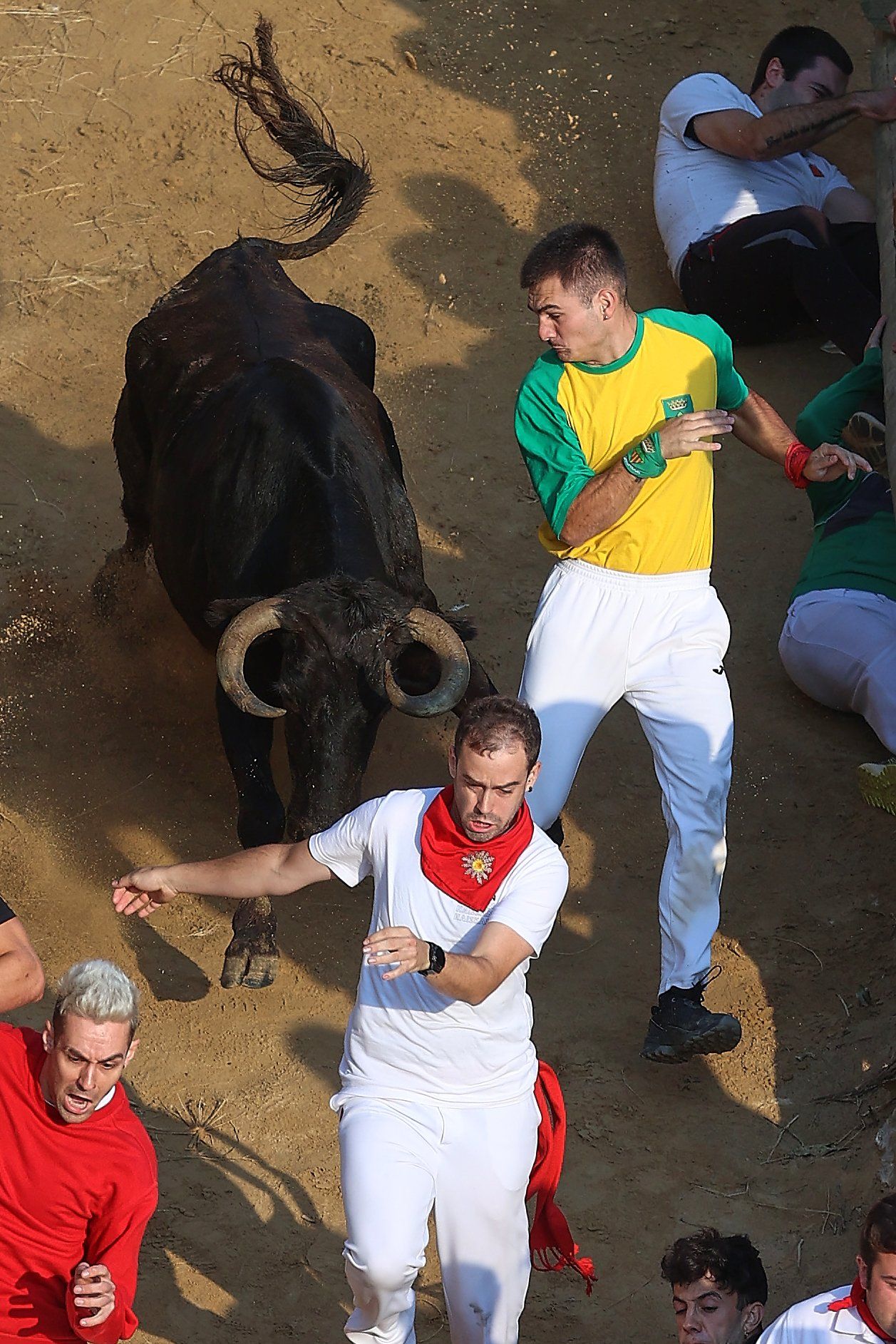 Fotos del último encierro del Pilón de Falces 2025