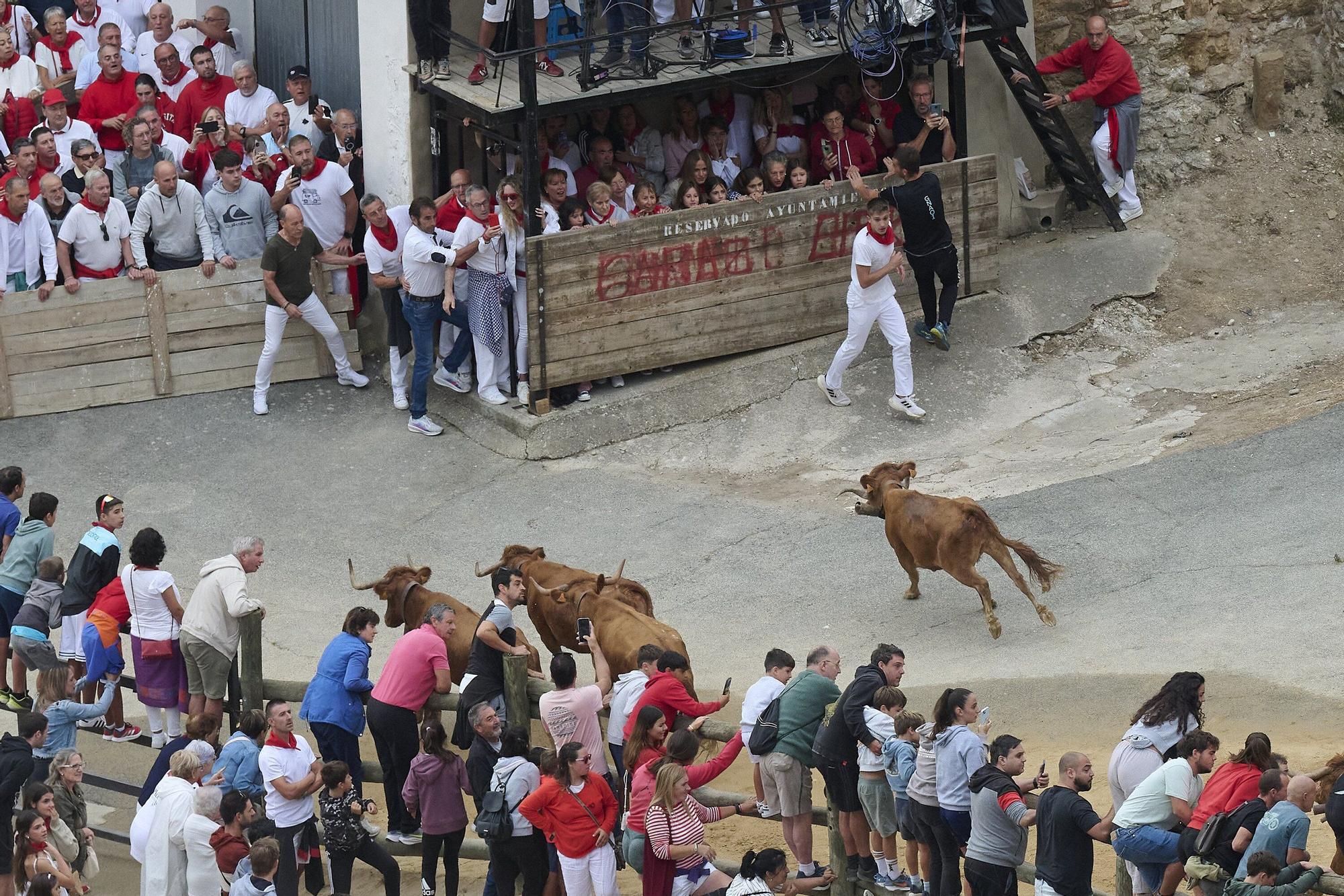 Fotos del sexto encierro del Pilón de Falces 2025, con vacas de Hípica Zahorí
