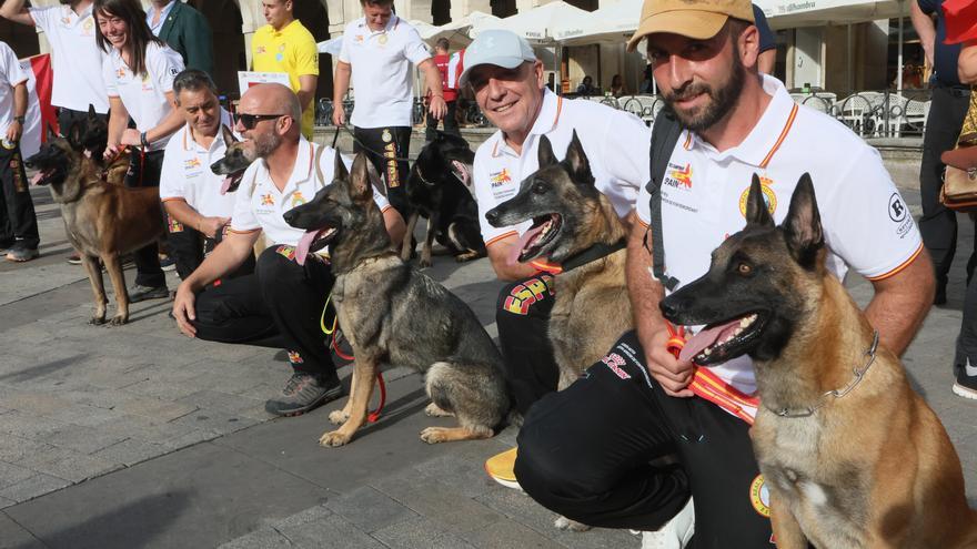 En imágenes: Perros de élite desfilan por Vitoria-Gasteiz por el &#039;Campeonato Mundial FCI-IGP&#039;
