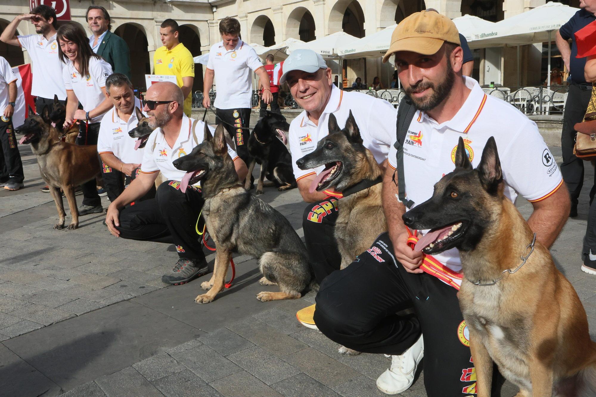 En imágenes: Perros de élite desfilan por Vitoria-Gasteiz por el 'Campeonato Mundial FCI-IGP'
