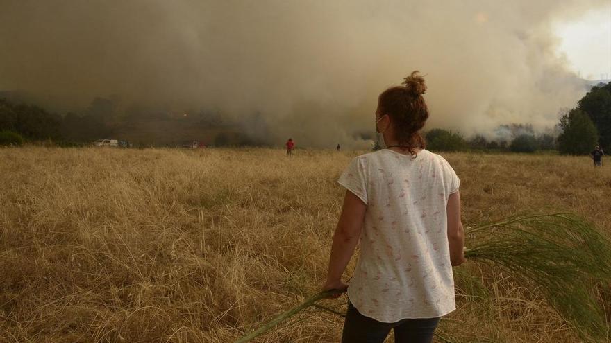 El humo y la ceniza de los fuegos de Ourense llegan a otras provincias