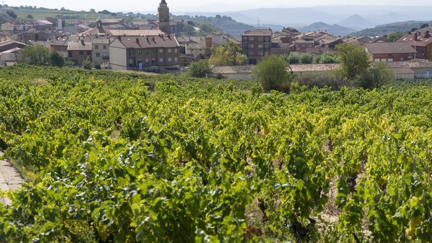 Lanciego celebra el día 30 una jornada dedicada a sus vinos