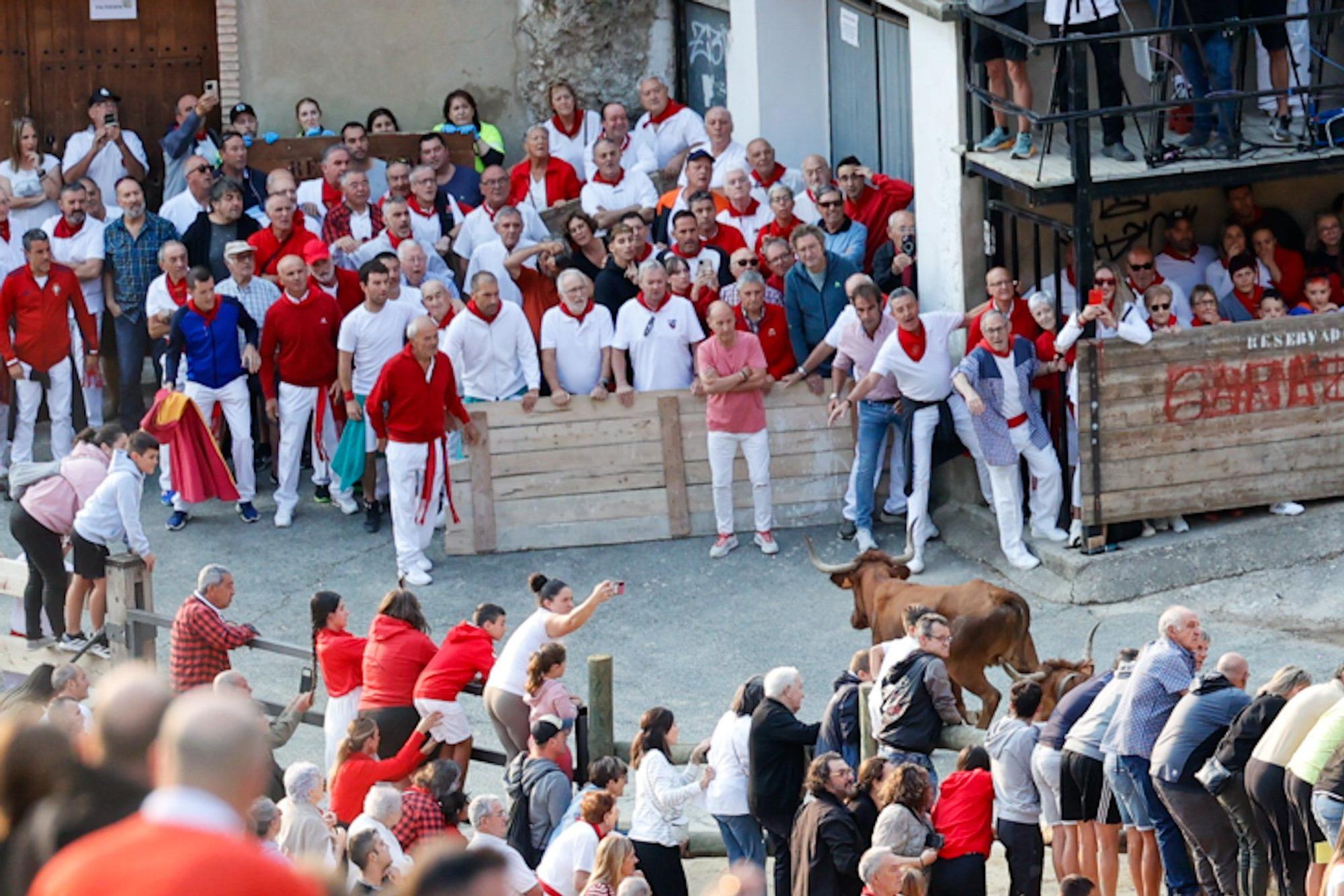 Fotos del cuarto encierro del Pilón de Falces 2025
