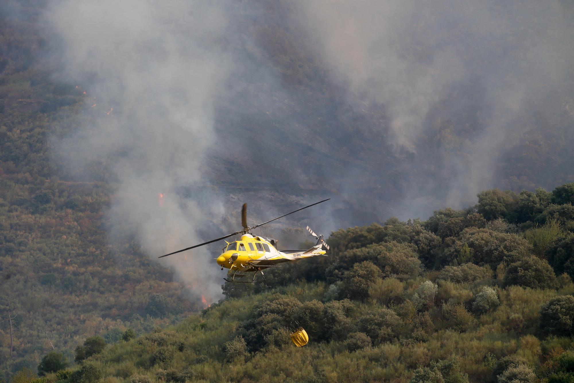 Semana negra de incendios: Cuatro muertos y 120.000 hectáreas quemadas