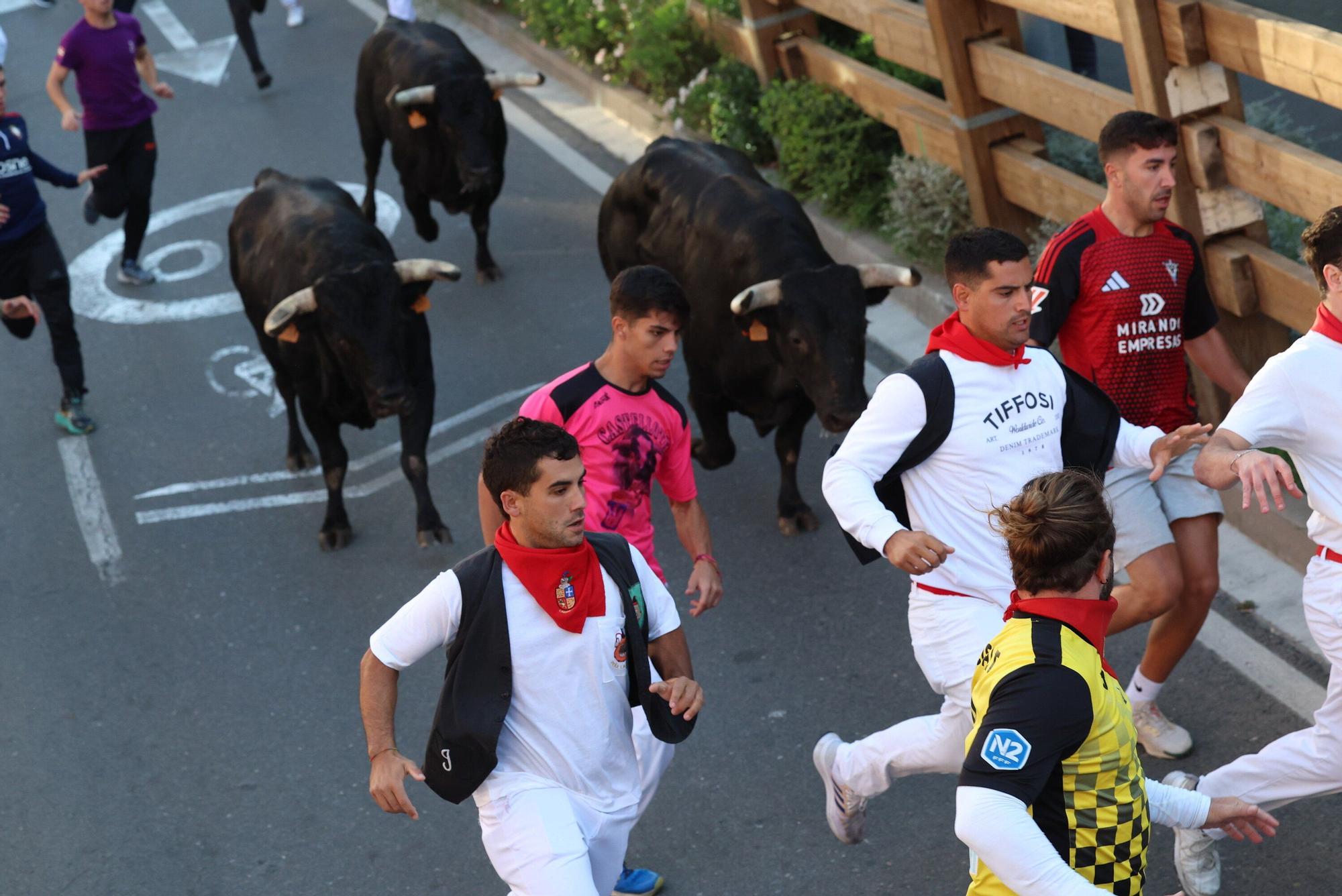 Fotos del quinto encierro de las fiestas de Tudela 2025