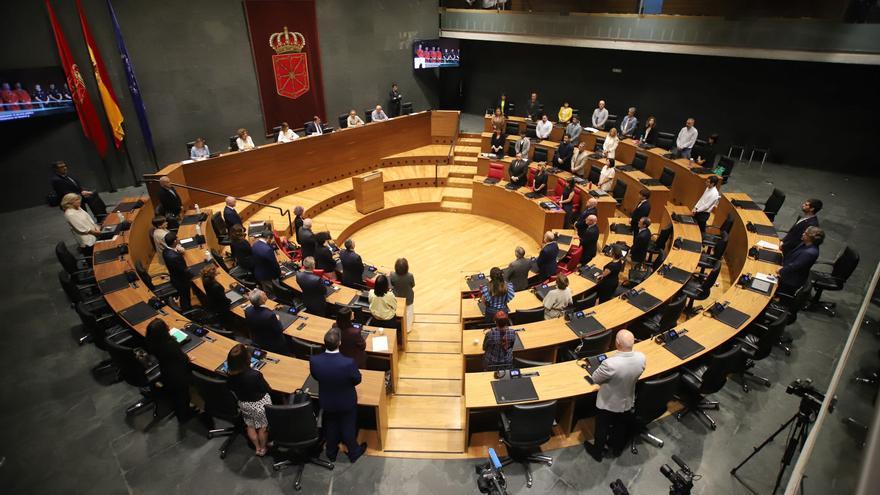 Fotos del pleno del Parlamento de Navarra (04/06/2026)