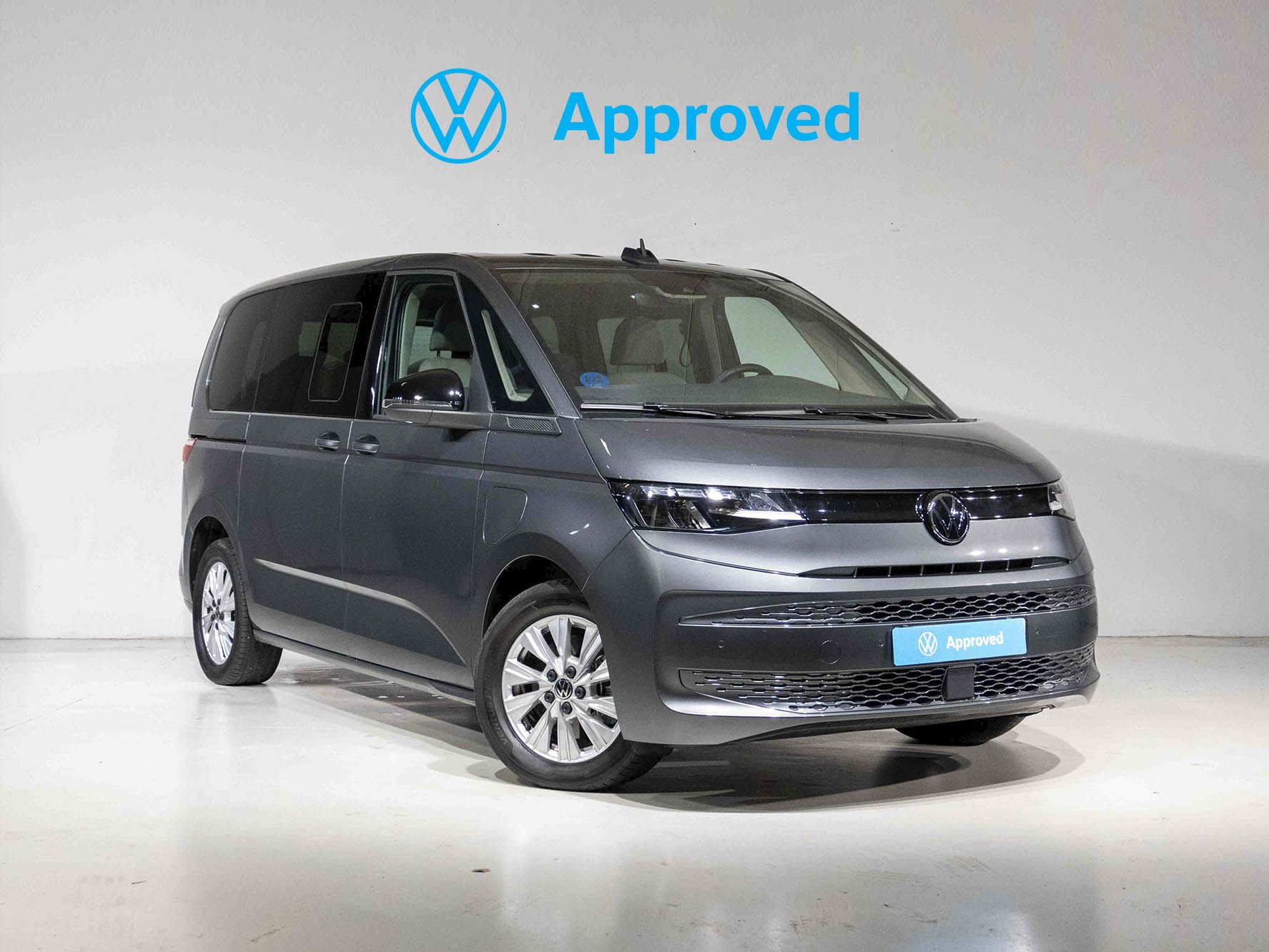 Volkswagen Multivan en Mundomovil Ocasión