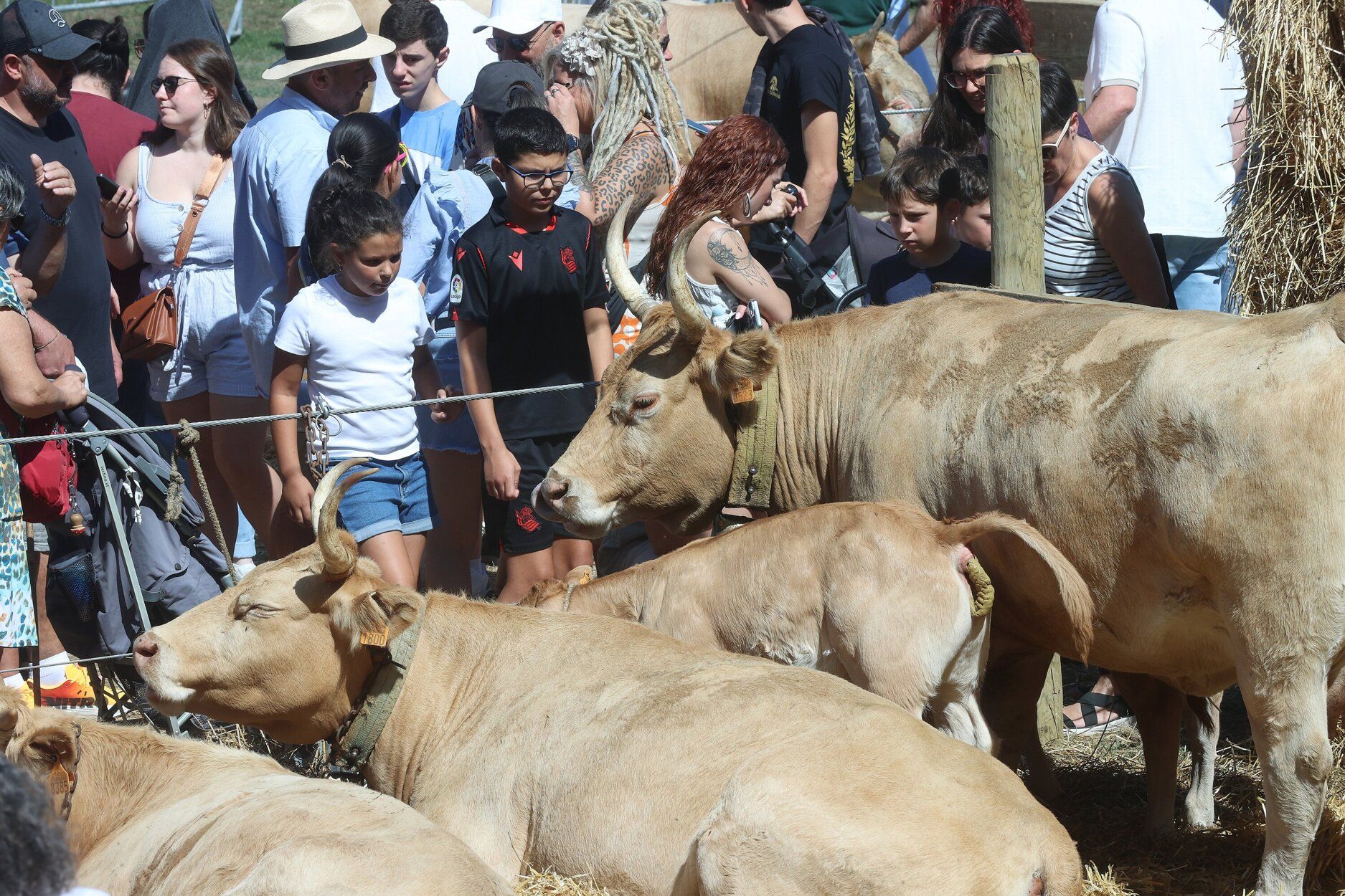 Fotos de la feria de ganado autóctono este sábado en Pamplona