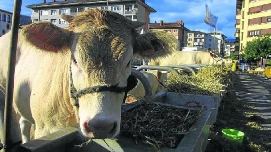 Enkarterri redescubre a sus animales