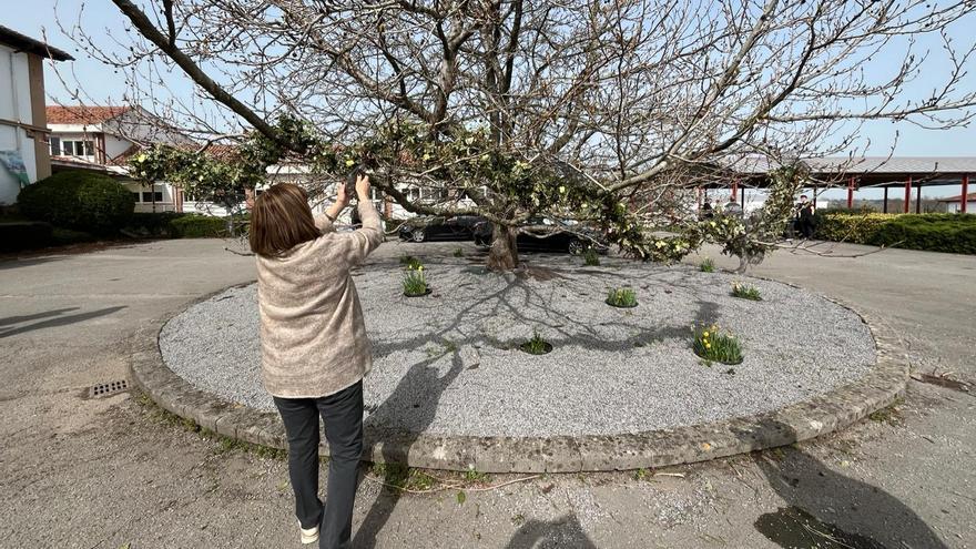 Compañeros de los jóvenes fallecidos, rotos tras la tragedia de la pasarela de Santander: “Estaban a punto de hacer las prácticas”