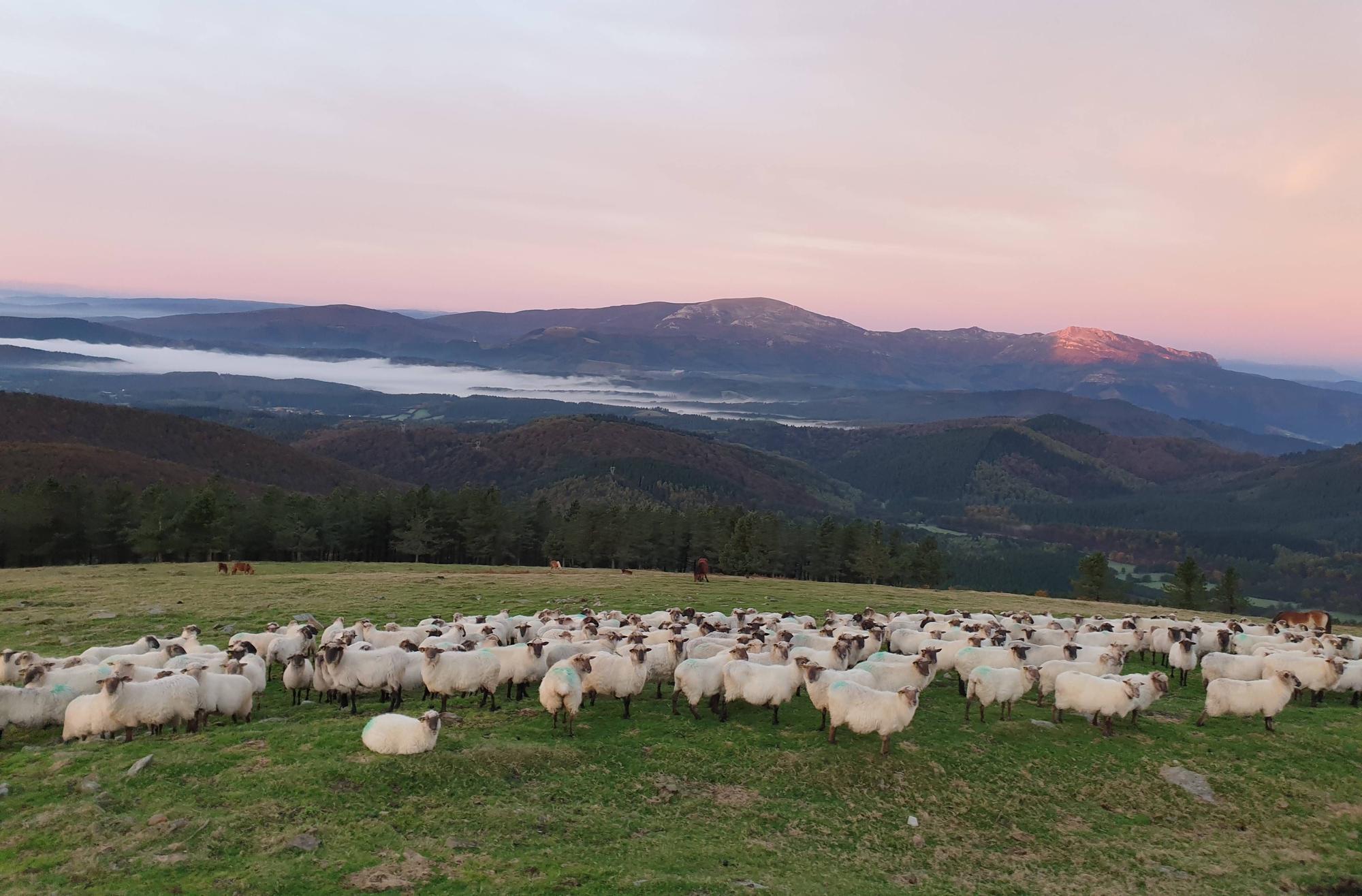 11NOVIEMBRE_Urtats Olano -Anboto.jpg