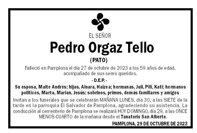 Pedro Orgaz Tello