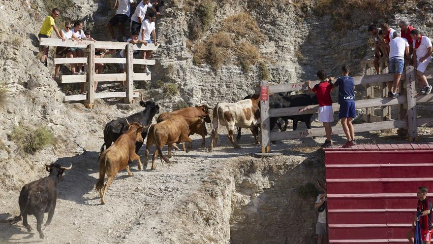 Encierro Estrecho