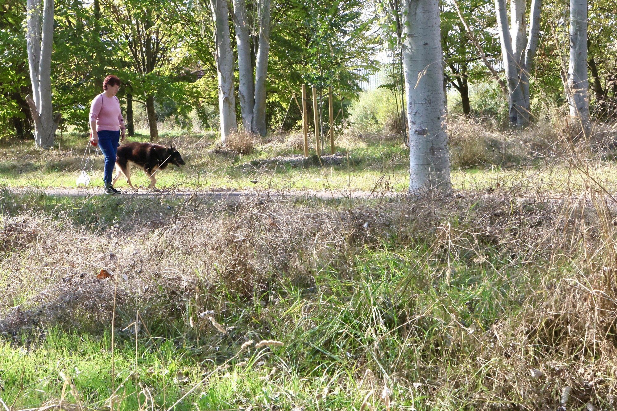 En imágenes: Vitoria-Gasteiz se prepara para adecentar el verde de la ciudad
