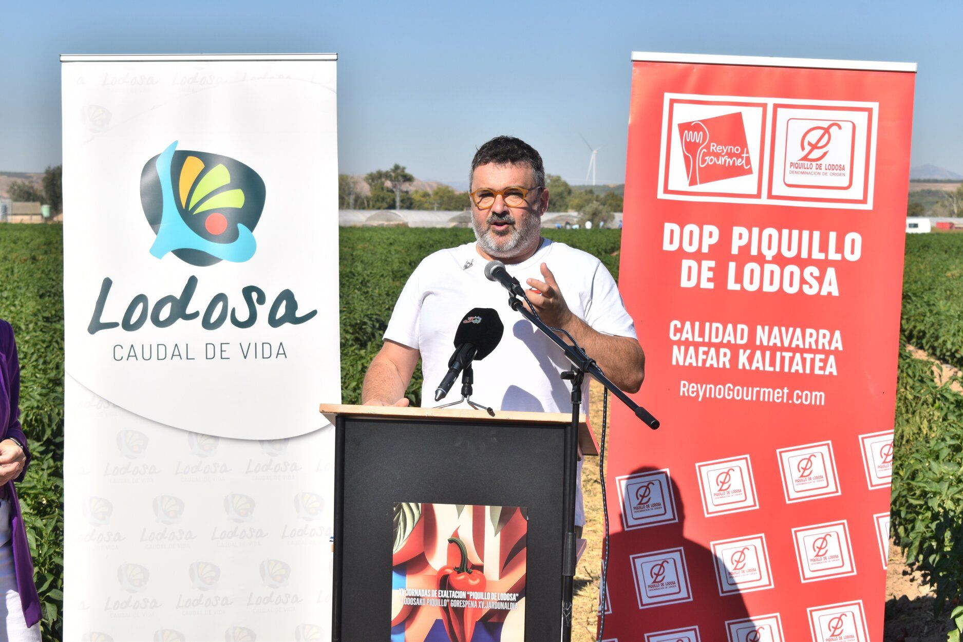 Fotos de las jornadas de exaltación del pimiento del piquillo de Lodosa
