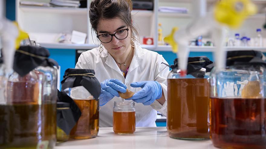 La UPNA investiga la fermentación de alimentos como vía para innovar en gastronomía y reducir el uso de sal y aditivos