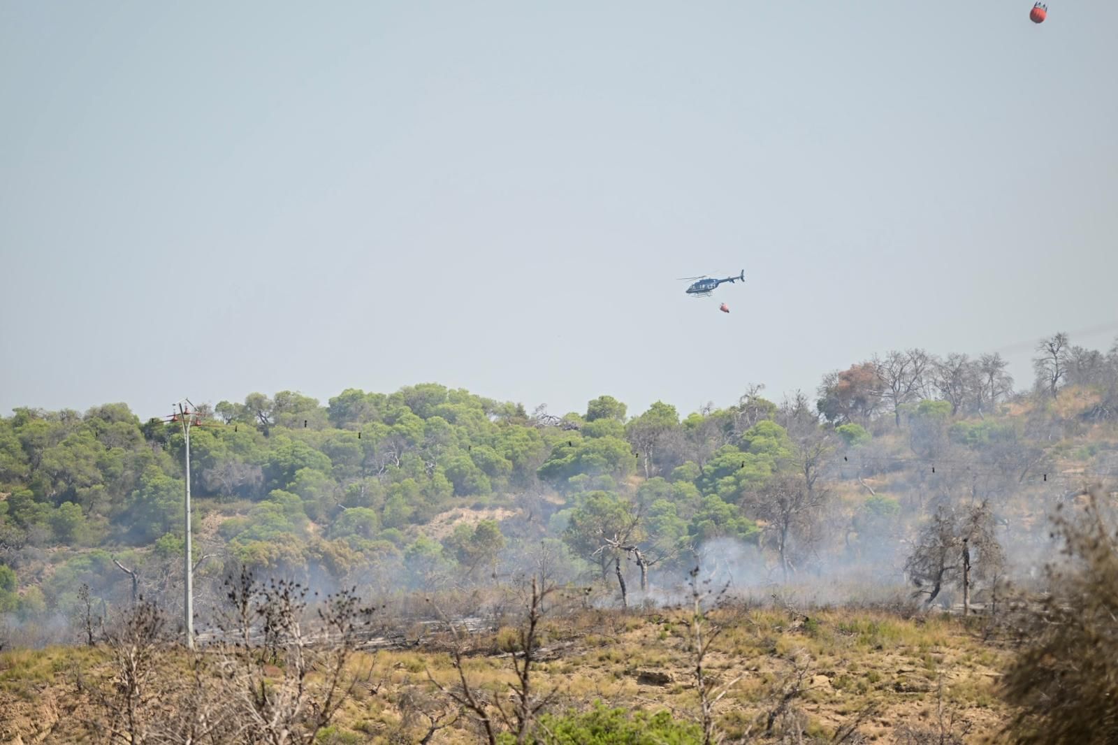 Fotos del incendio forestal cerca de Carcastillo