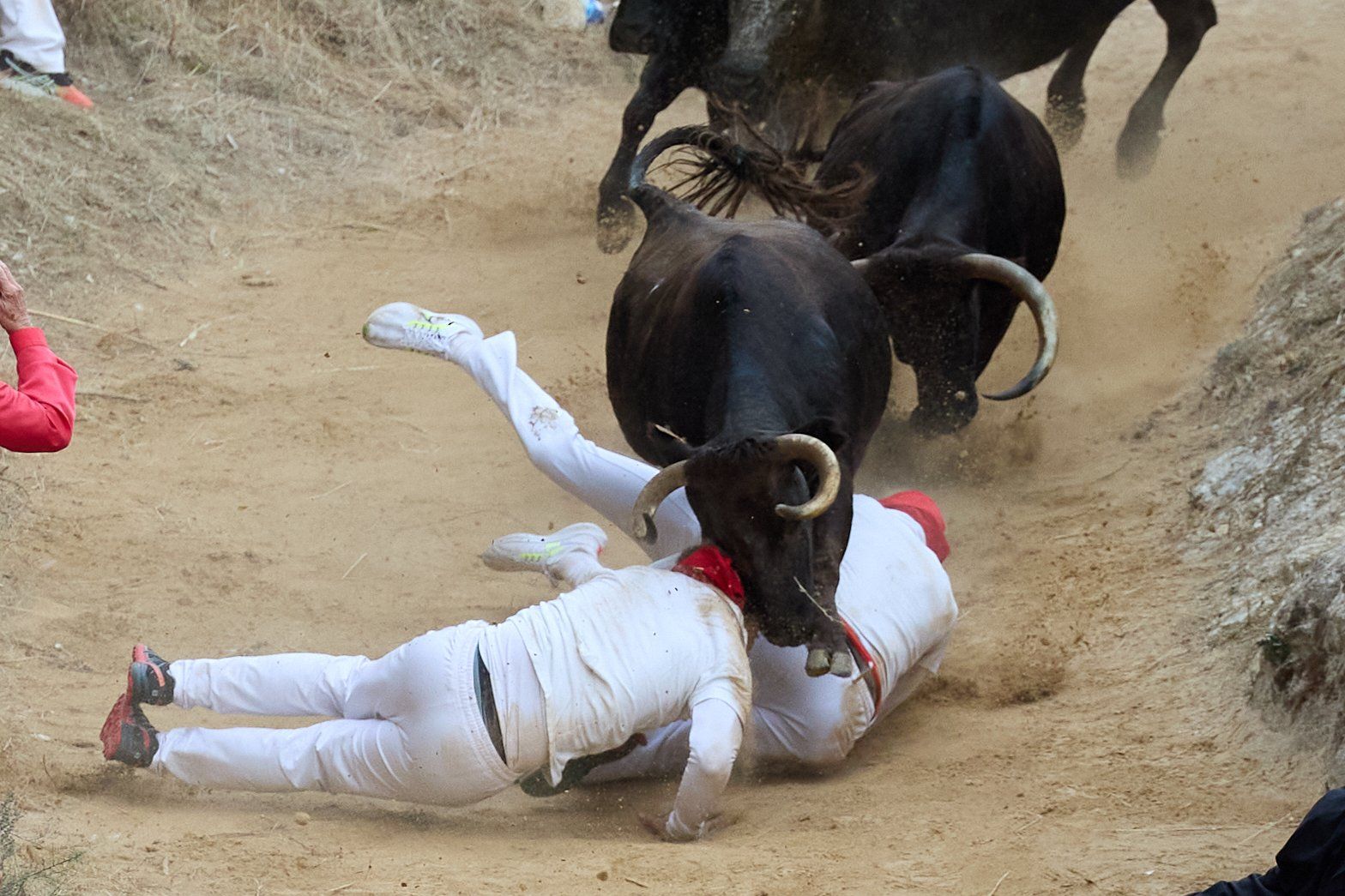 Fotos del tercer encierro del Pilón de Falces 2025