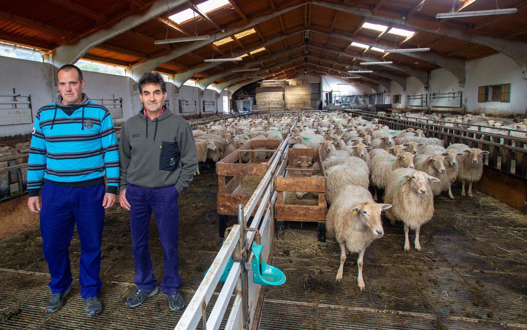 Fotos de la visita a la explotación ganadera de un joven que acaba de instalarse en Gaintza, en el valle de Araitz