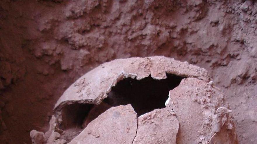Hallan en Brasil la decapitación más antigua de América, hace 9.000 años